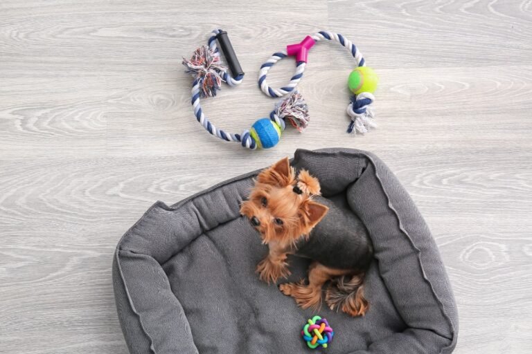pet beds